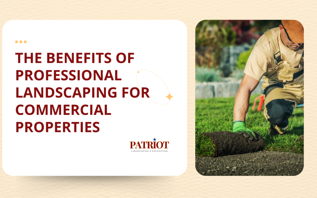 The Benefits of Professional Landscaping for Commercial Properties